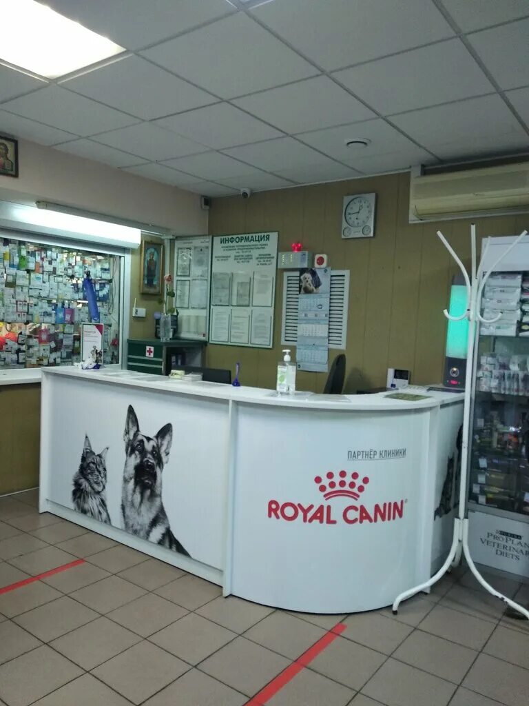 ветеринарная подольск. саймон ветклиника подольск. ветеринарная подольск. ветеринарная подольск. ветеринарная подольск.