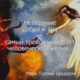 Побеждает любовь побеждает добро
