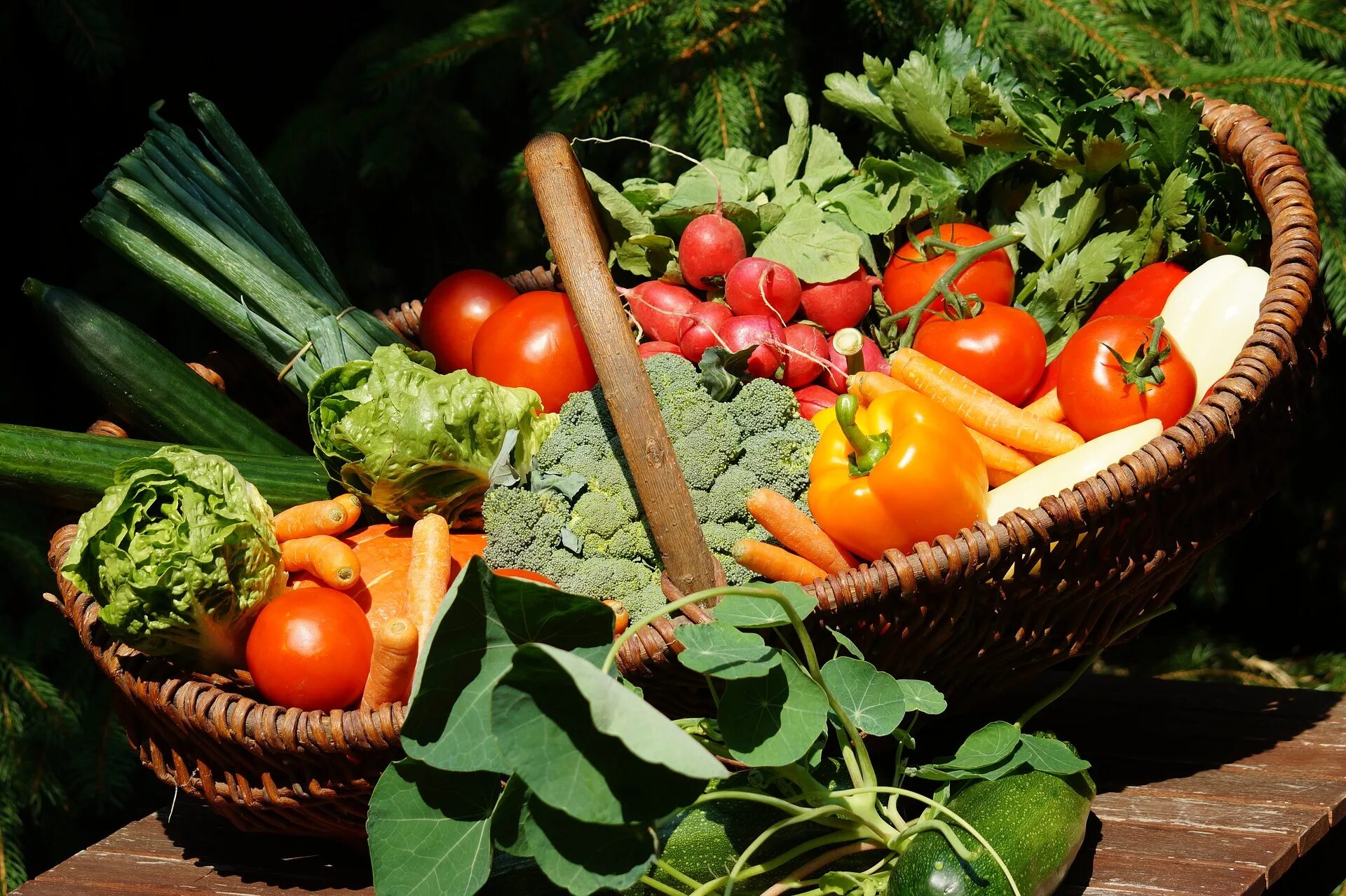 Tasty vegetables. Овощи и зелень. Корзинка с овощами. Овощи на столе. Свежие овощи.