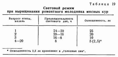 Световой день для кур зимой