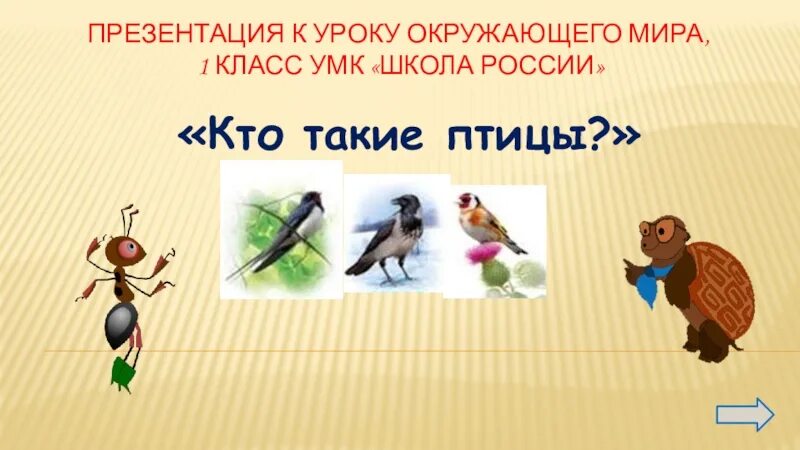 Окружающий мир презентация. Презентация 1 класс окружающий мир. Урок по окружающему миру 1 класс презентация.