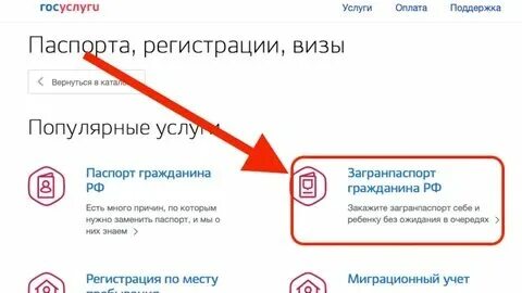 Что можно делать через госуслуги