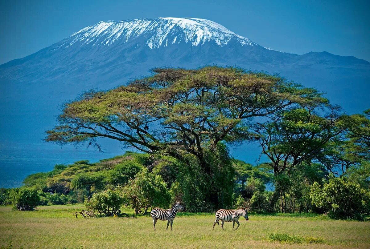 Красивая страна африки. Танзания Килиманджаро. Национальный парк Килиманджаро в Африке. Килиманджаро национальный парк Серенгети. Национальный парк Килиманджаро в Танзании.