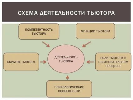 Документацию соответствующую компетенции тьютора