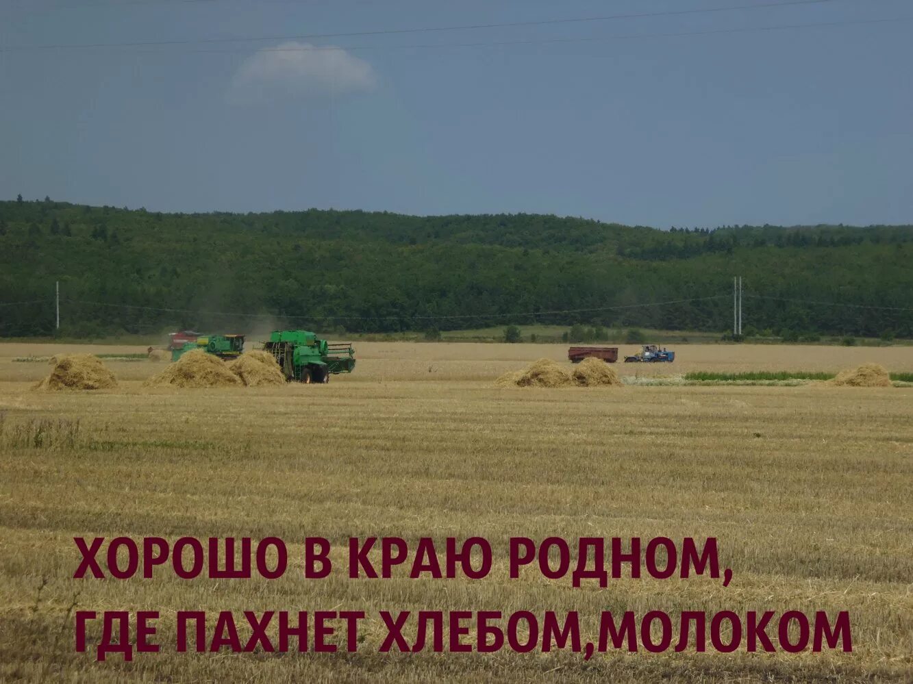 хорошо в деревне летом пахнет сеном. баба с возу. стишок выйдешь в поле сядешь срать далеко тебя видать. хорошо в деревне летом пристает навоз к штиблетам. хорошо в деревне летом пахнет сеном.