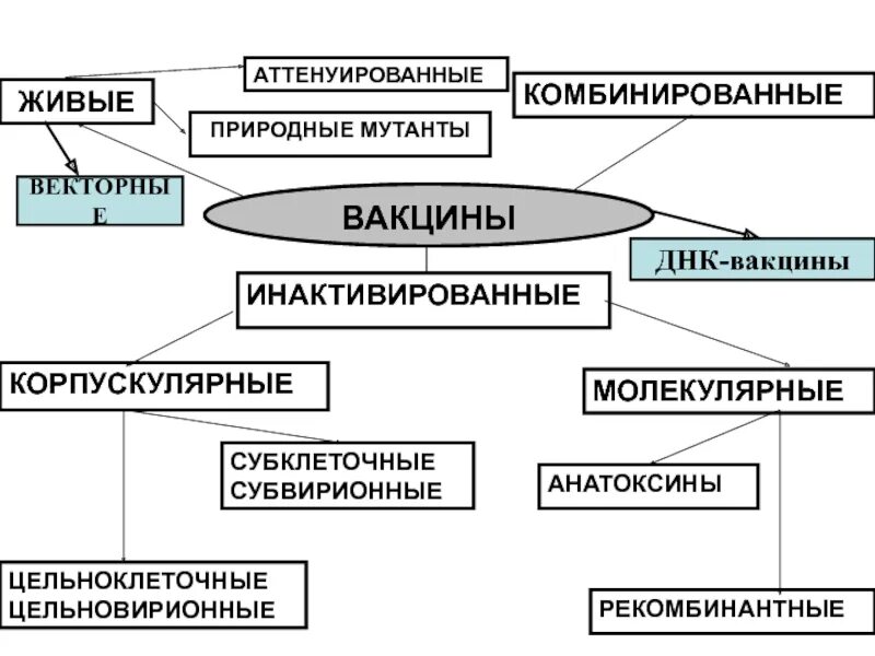 Живые и неживые вакцины. Классификация вакцин схема. Классификация вакцин микробиология. Классификация вакцин микробиология схема. Классификация инактивированных вакцин.