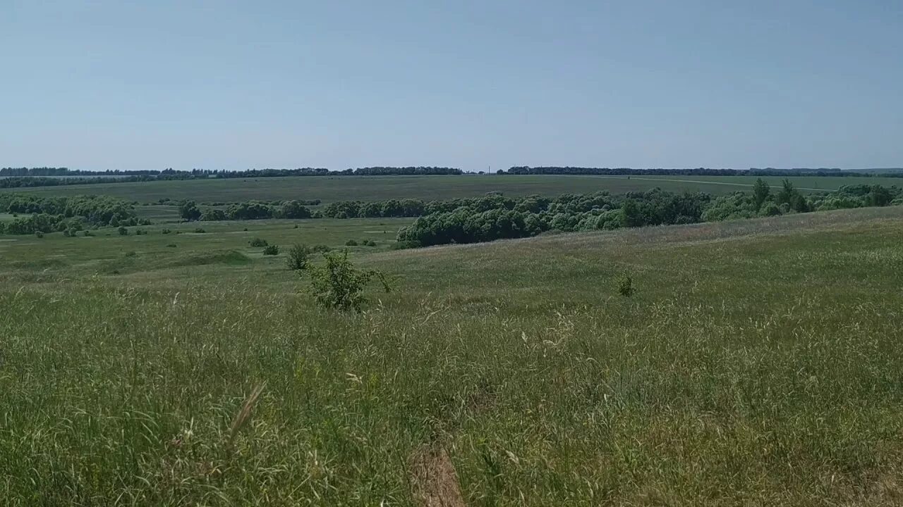 Максимовка Пензенская область. Каменский район Пензенская область ,,поле,,. Деревня Максимовка Пензенская область. Село Клейменовка Пензенская область Каменский район.