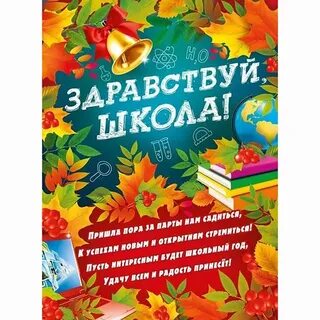 Здравствуй школа книга