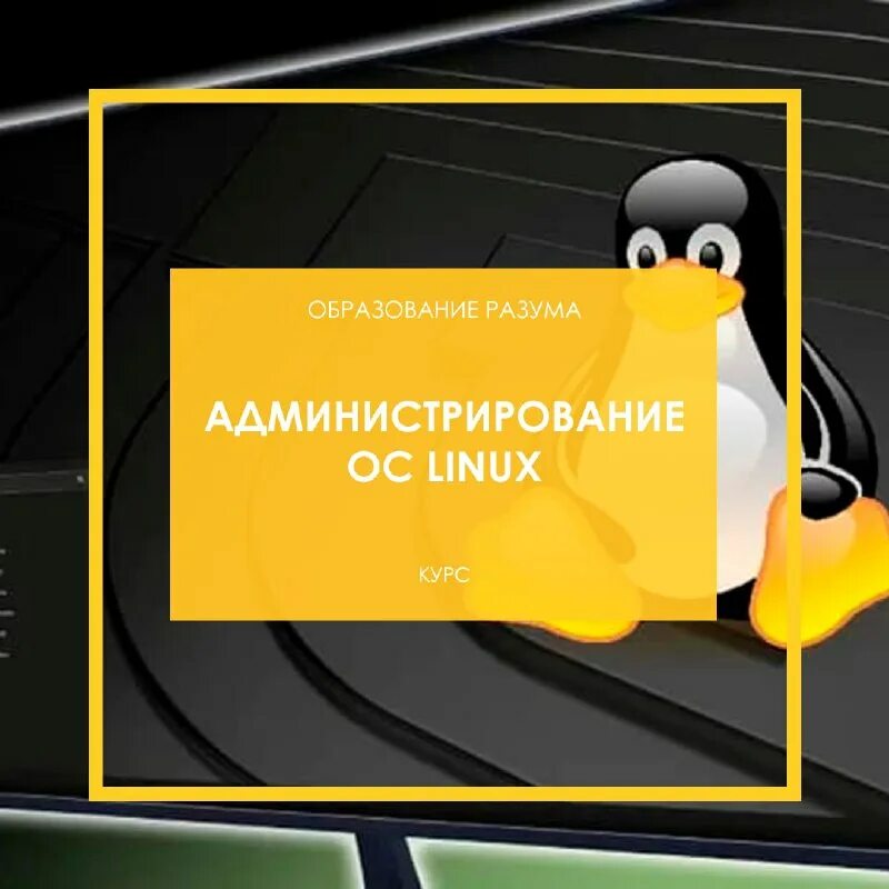 Ос linux. Курс администрирование linux торрент. Системное администрирование linux. Администратор линукс. Системный администратор linux.