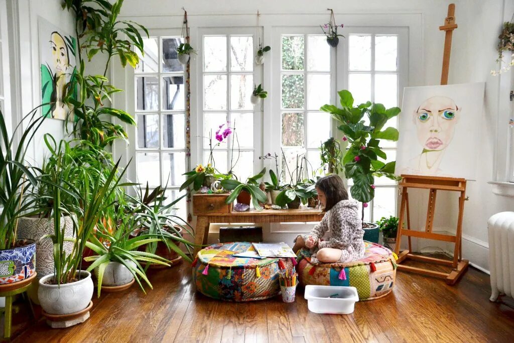 Фикус лирата. Plant i home. Комнатные растения в интерьере. Много растений в интерьере. Комнатные растения в интерьере.