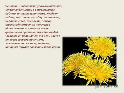 Что символизирует желтый