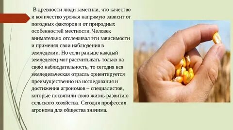 Обязанности агронома