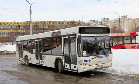 Конечная 10 автобуса