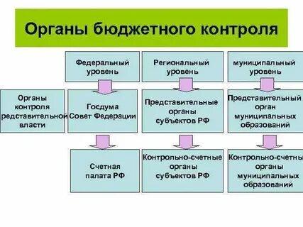 Органы осуществляющие аудит