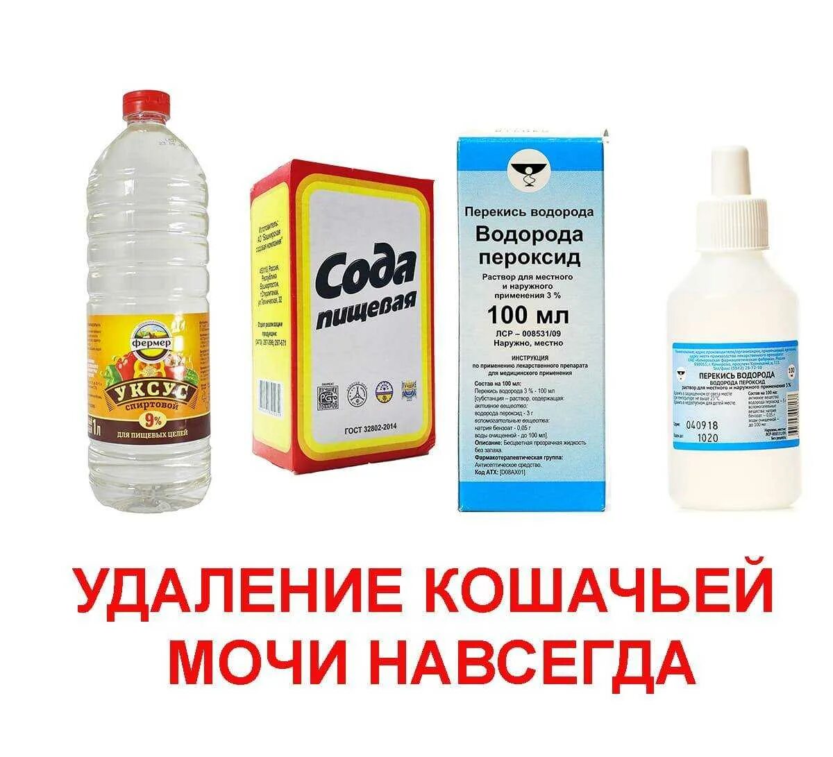 Чем отмыть диван от кошачьей мочи. Средство от запаха мочи кота. средство уничтожающее запах кошачьей мочи. средство от запаха кошачьей мочи в квартире. средство для выведения мочи кошек.
