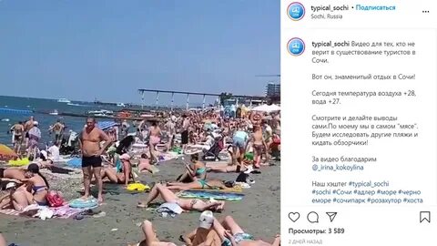 Отдых в сочи в ноябре отзывы