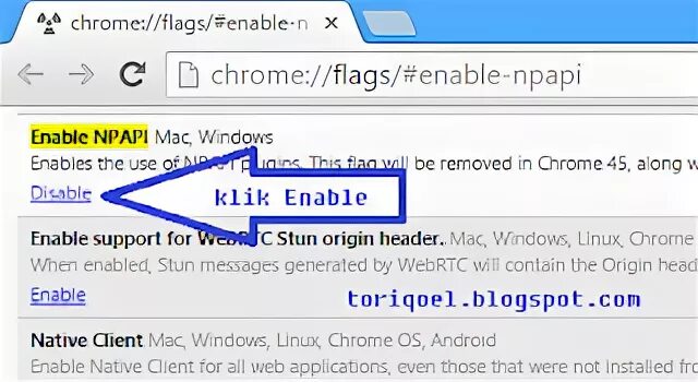 Chrome flags npapi