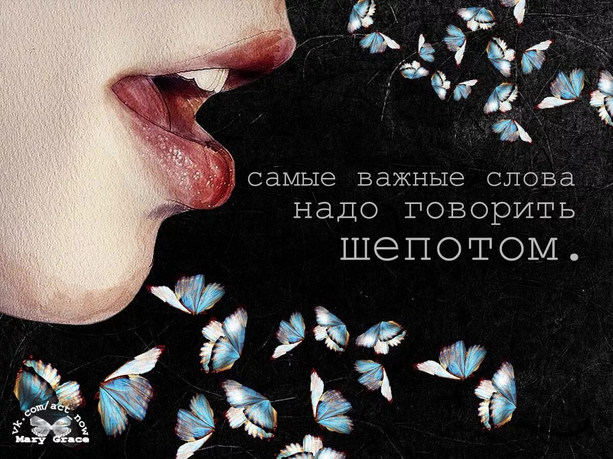 Картины с надписями со смыслом. Цитаты со смыслом. Красивые цитаты. Красивые фразы. Цитаты на аватарку