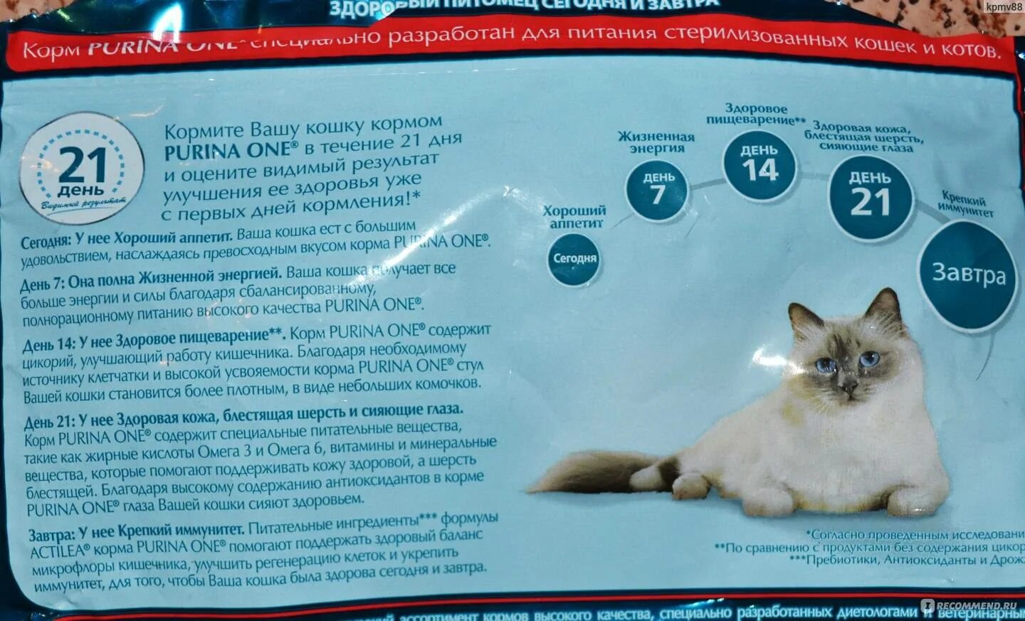 Корм кота содержание. Кошачьи корма для стерилизованных кошек. пурина для кошек состав. питание для стерилиз кошек. питание для стерилизованных кошек.