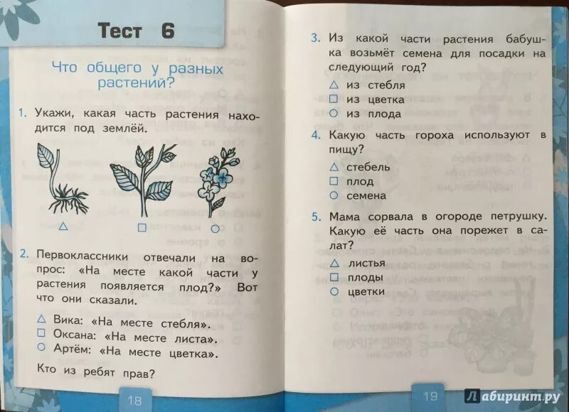 Тесты по окружающему миру 3 класс виноградова. Окружающий мир тесты. Тест по окружающему. Тест для 1 класса. Тест по окружающему миру.