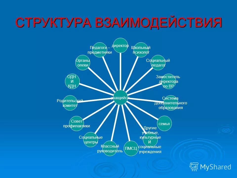 Взаимосвязь структур организма начиная с наименьшей. Структура взаимодействия. Кластер педагогическое взаимодействие. Структура взаимосвязей.