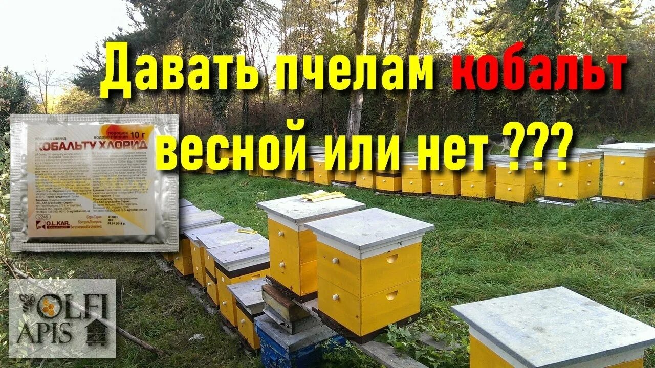 Пробиокс апи для пчел. Кобальт для пчел. пробиокс для пчел. кобальт для пчел в воду. подкормка кобальт для пчел.