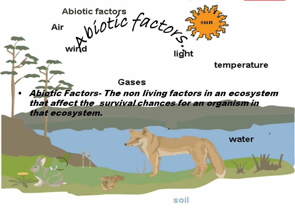 Abiotic factor аномалия. Abiotic factor аномалия