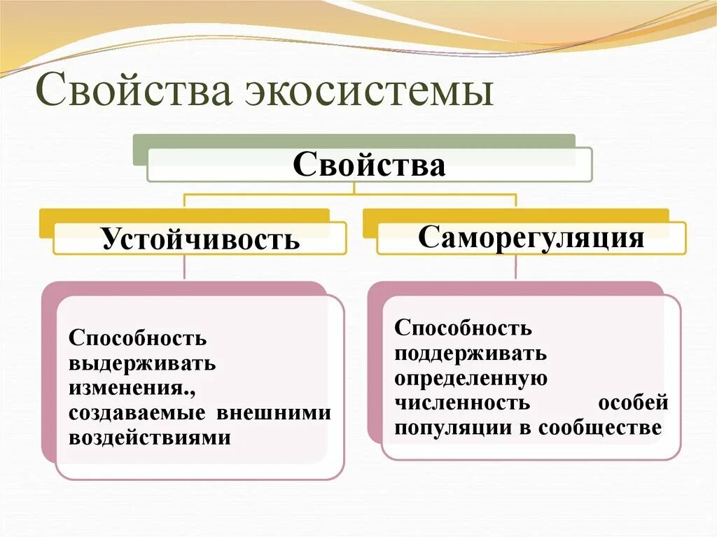 Саморегуляция в биогеоценозе