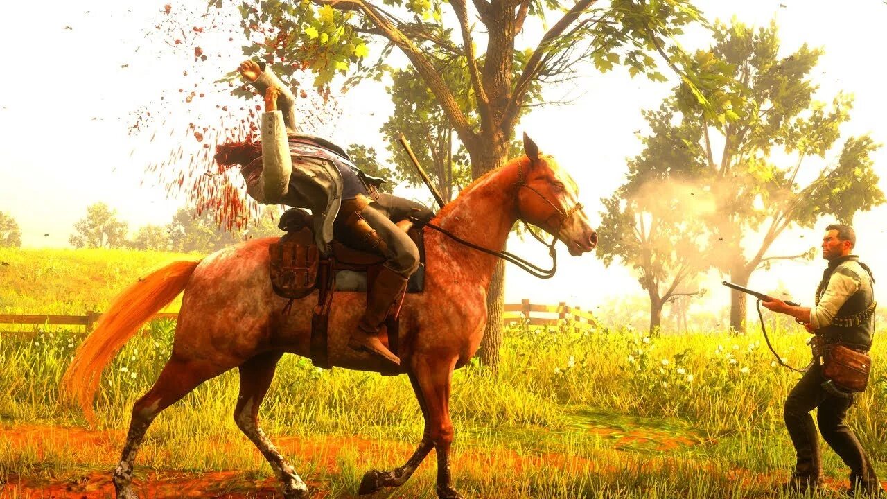 Rdr 2 euphoria