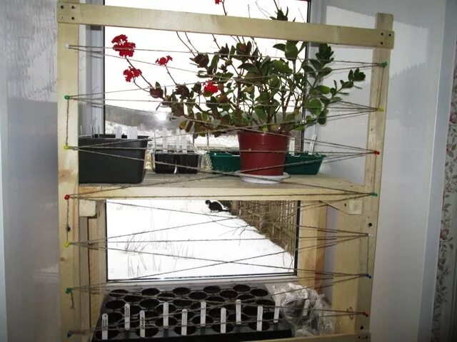 Как защитить рассаду от кошек на подоконнике. Стеллаж для цветов от кошек. стеллаж для рассады на окно. ограждение для цветов на подоконник. полки для рассады на подоконнике.