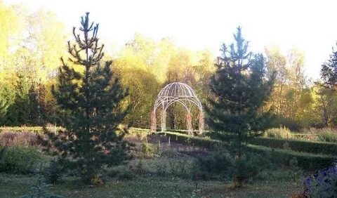 Ботанический сад чебоксары