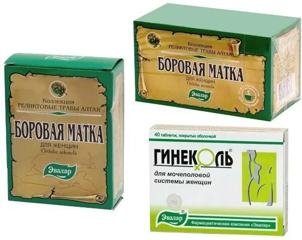 Боровая матка при планировании беременности. Боровая матка забеременела. Боровая матка. Боровая матка. Боровая матка таблетки.