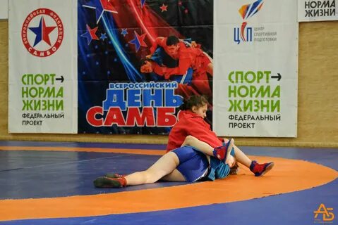 16 ноября всероссийский день самбо