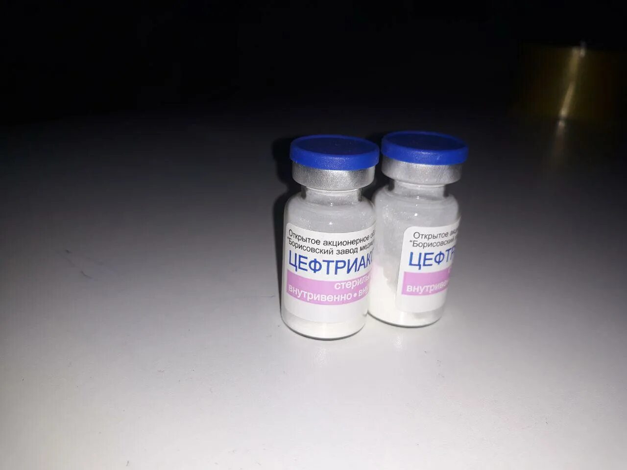 антибиотики для кошек. цефтриаксон для кошек. цефтриаксон уколы инъекции. антибиотик для собак. цефтриаксон (фл.