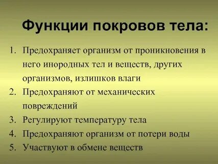Интересные факты о покровах тела животных