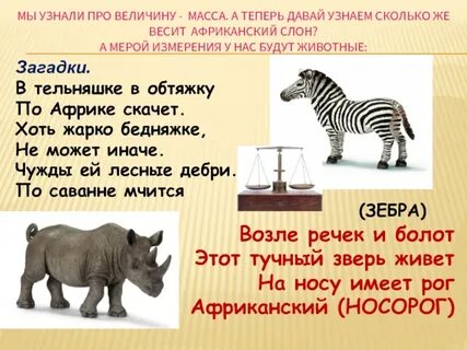 Носорог весит 4 кн какова его масса