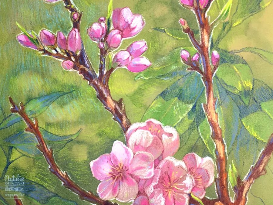 Рисунок весны цветными карандашами. Весенний пейзаж цветными карандашо. Весенние цветы цветными карандашами. Весенние цветы гуашью.