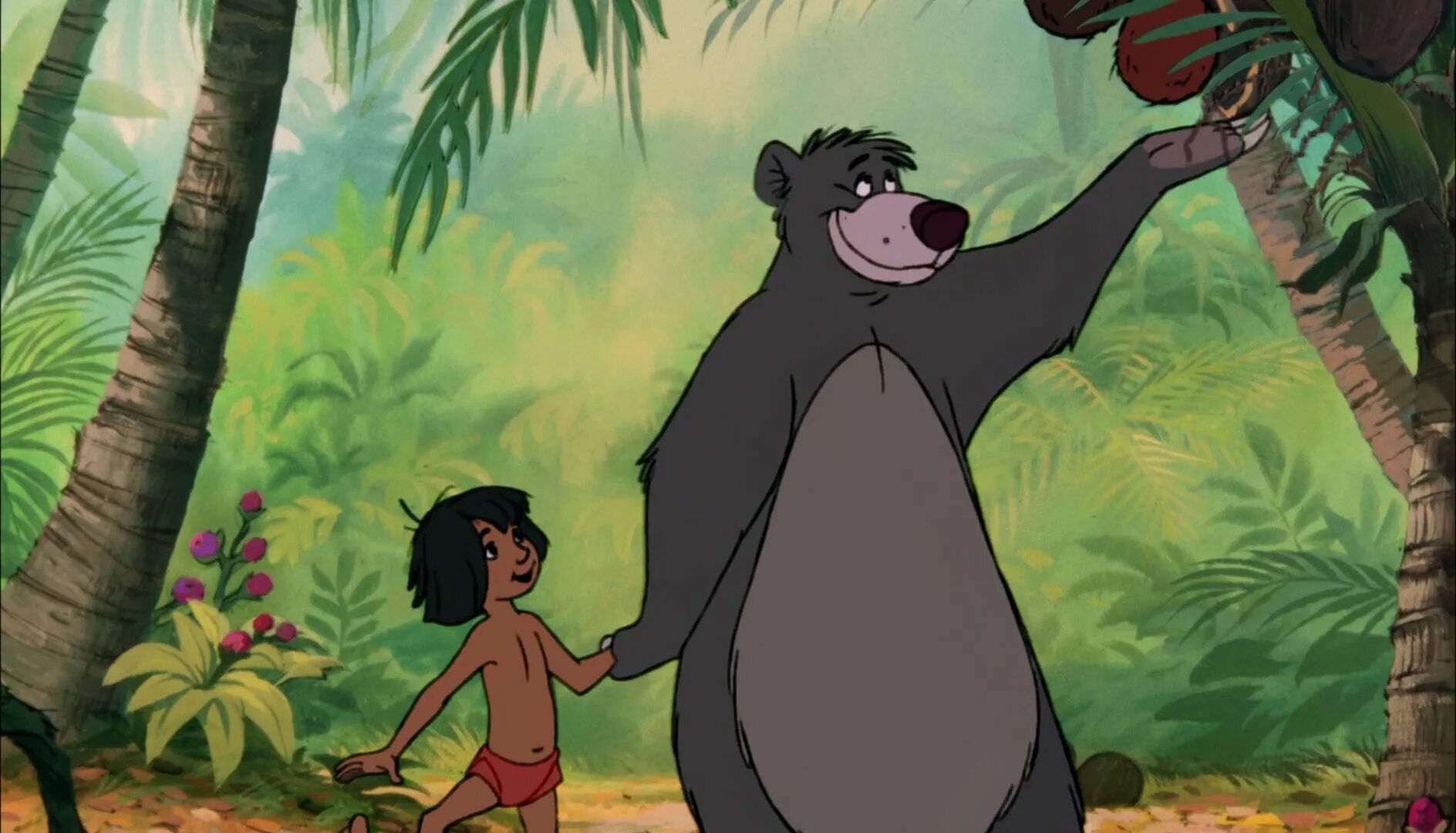 Книга джунглей балу. Балу медведь из маугли. Багира маугли дисней. Медведь балу книга джунглей. Balu медведь.