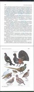 Биология 7 шапкин