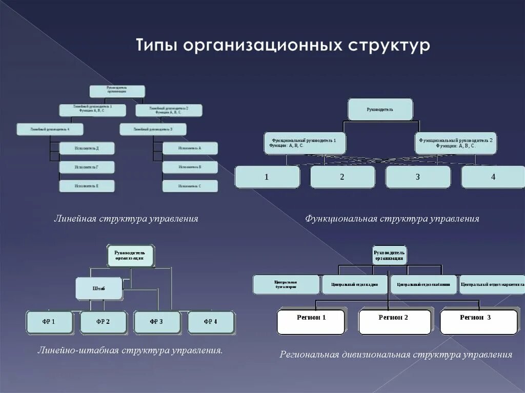 Функциональная основа организации