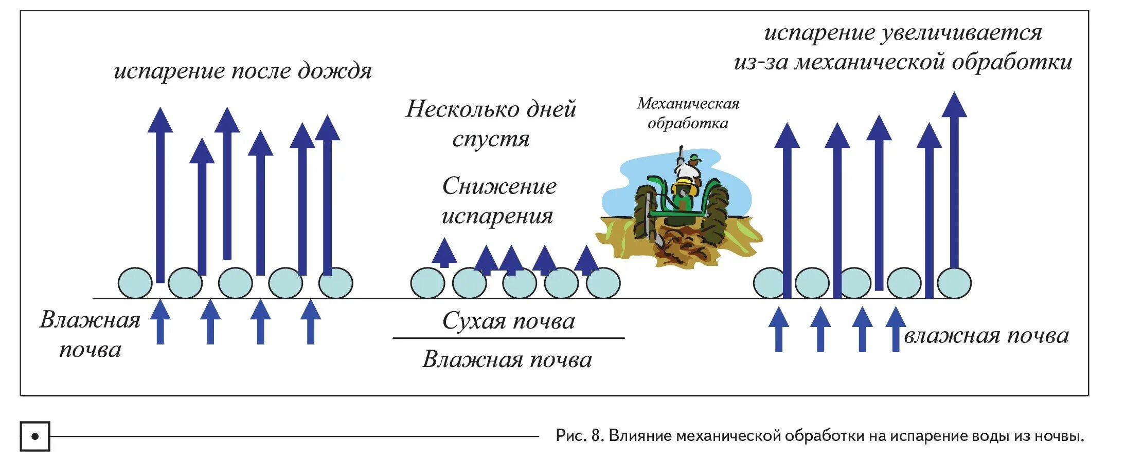 Жидкостей и осадков. Схема процесса испарения. Испарение воды из почвы. Испарение влаги из почвы. Испарение с поверхности почвы.