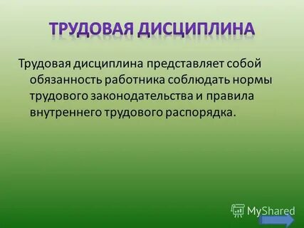 Трудовая дисциплина заключение