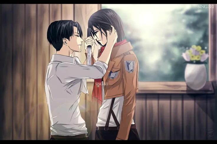 Pin on Shingeki no Kyojin (Attack on Titan)