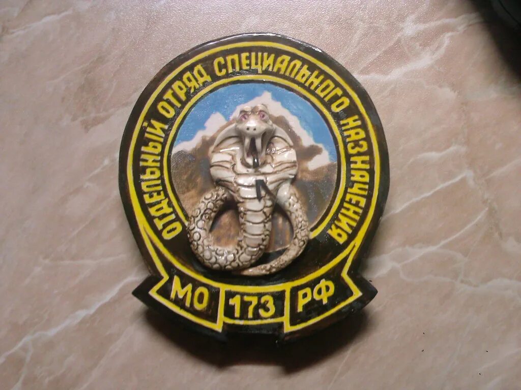 Спн центр черноголовка. Шеврон 22 бригады спецназа гру. 173 ооспн. эмблема 411 ооспн. шеврон 173 ооспн гру.
