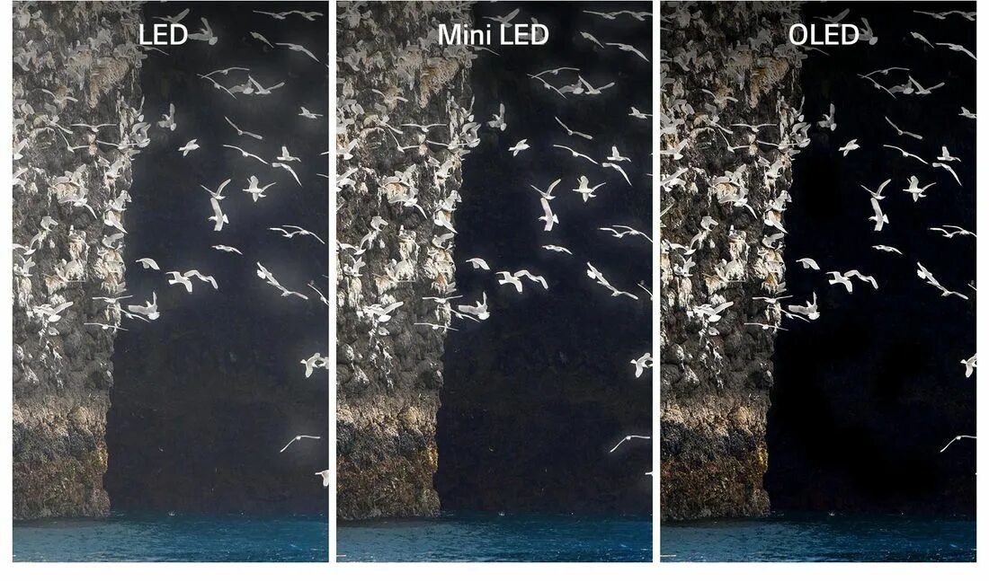 Miniled обзор. Олед vs лед. mini led vs oled. qled oled разница. qled или miniled.
