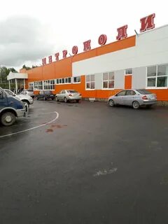 Метрополис курган