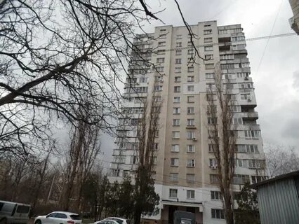 Большой 55