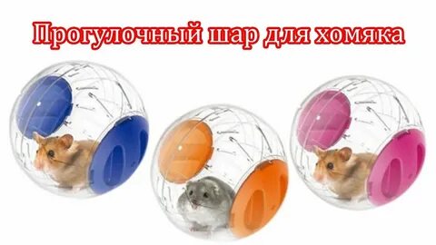 Боты для хомяка друзья