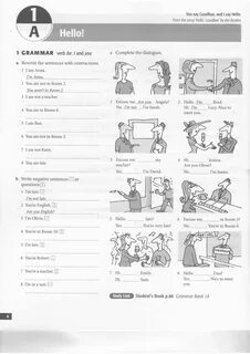 New english beginner