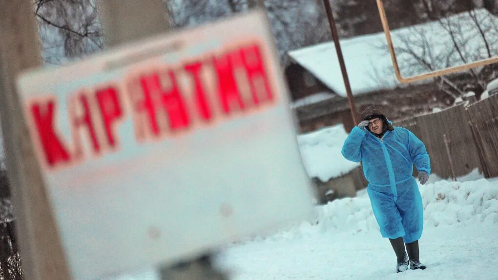 Карантин по бешенству животных. Ветеринарный карантин. Карантин. Карантин табличка. Новая москва: в поселении ввели карантин по бешенству.